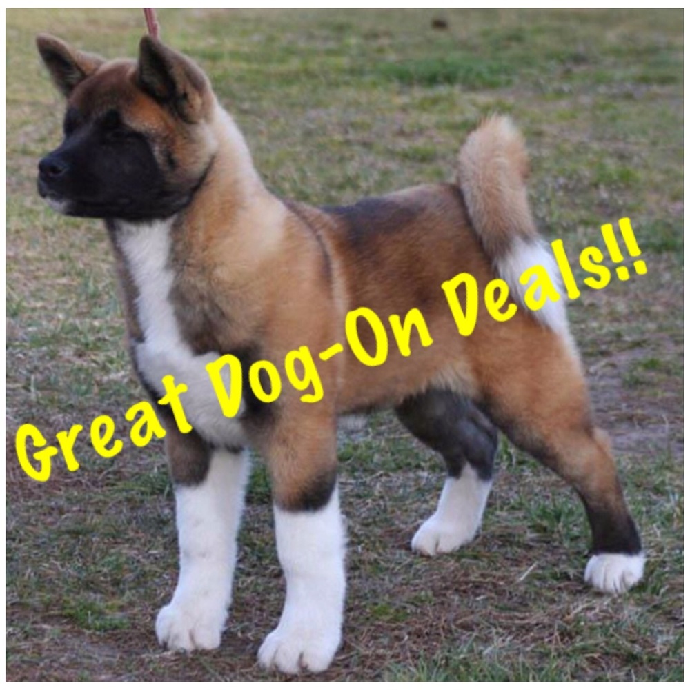 Welcome to Stoogey's Closet